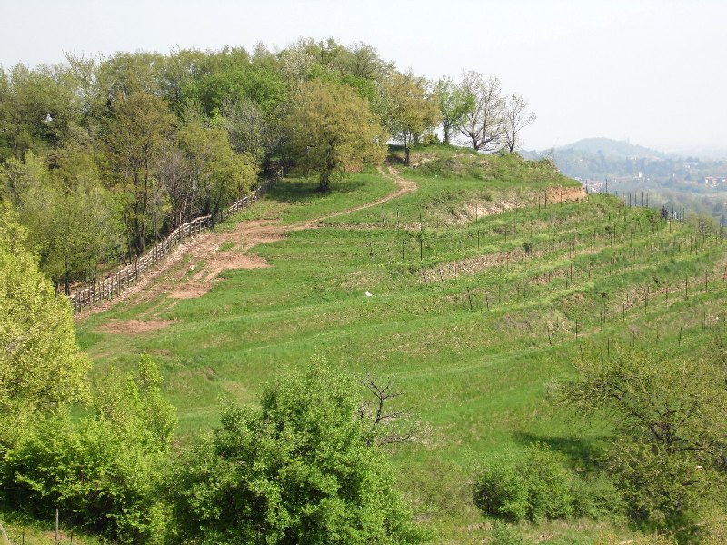 Parco di Montevecchia e della valle del Curone LC